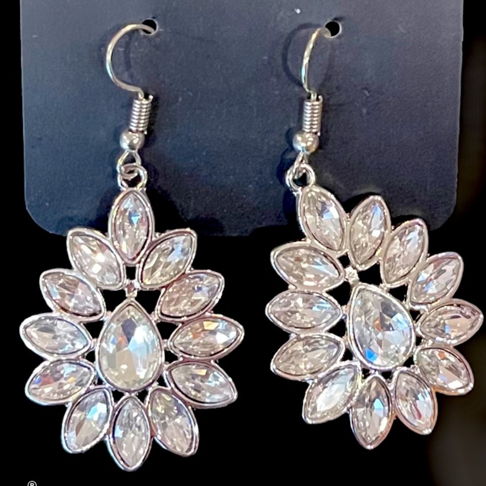 Paparazzi Earrings! Accessorize!